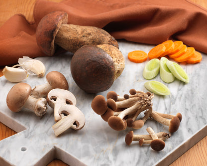 Zuppa di funghi con porcini